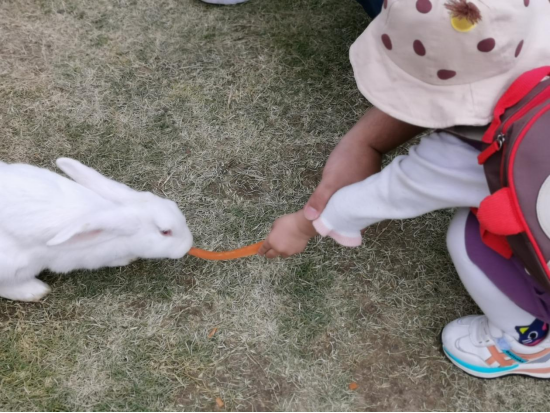 /uploads/image/2022/08/12/5e08427e2e9306f4f0bb7cd0880a5043.png 圖片.png