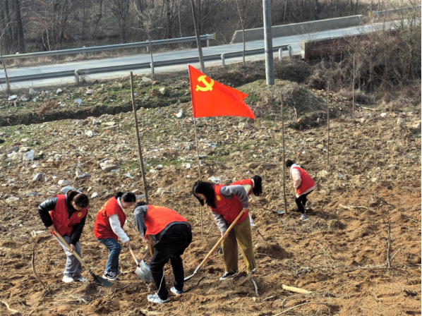 /uploads/image/2024/03/12/0966acbbf21923a257d8e6a251cf295f.png 圖片.png