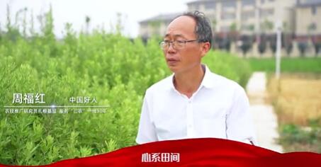 【滁州市道德模范公益廣告】周福紅：農(nóng)技推廣研究員扎根基層 服務(wù)“三農(nóng)”一線(xiàn)30年