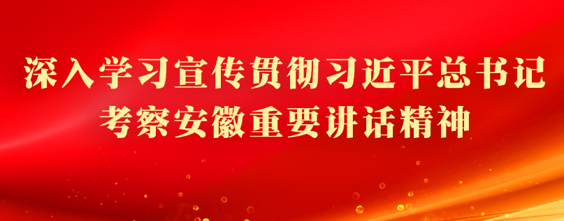 習(xí)近平總書(shū)記考察安徽